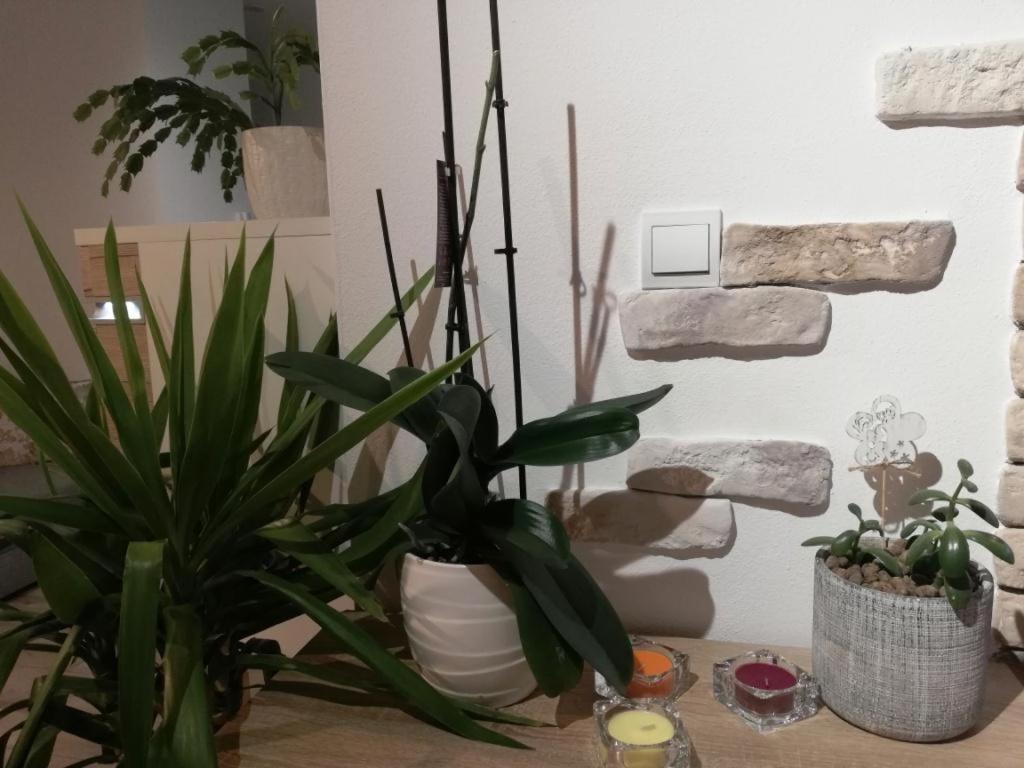 Apartamento Galéria šťastie Senec Exterior foto