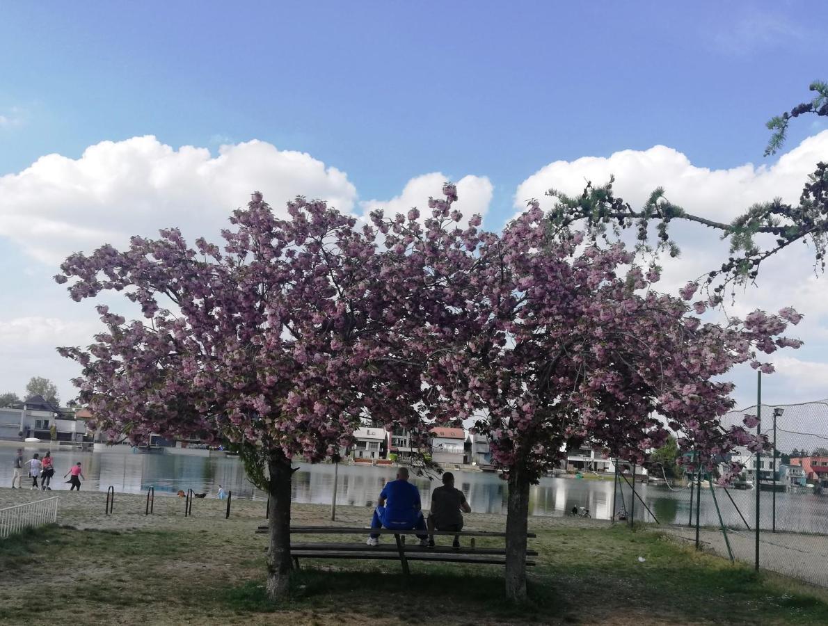 Apartamento Galéria šťastie Senec Exterior foto